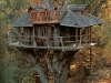 treehouse_01.jpg